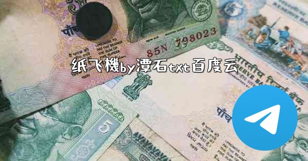 纸飞機by潭石txt百度云