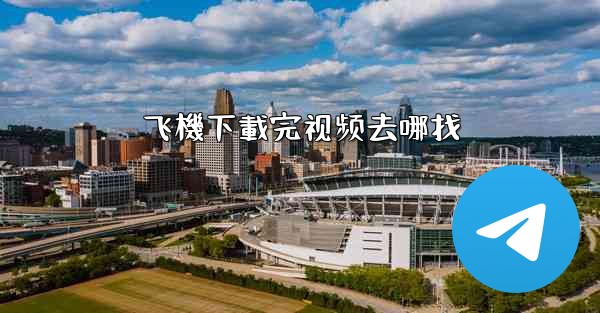 飞機下載完视频去哪找