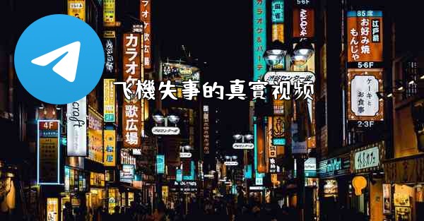 <b>飞機失事的真實视频</b>