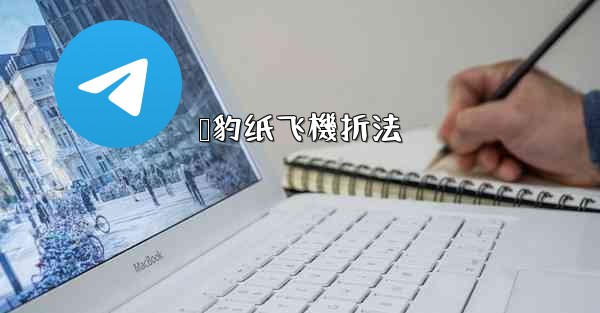 猎豹纸飞機折法