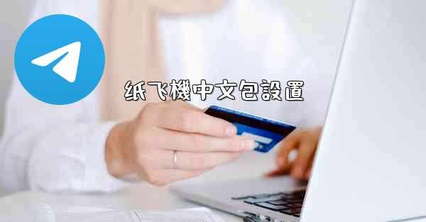 纸飞機中文包設置