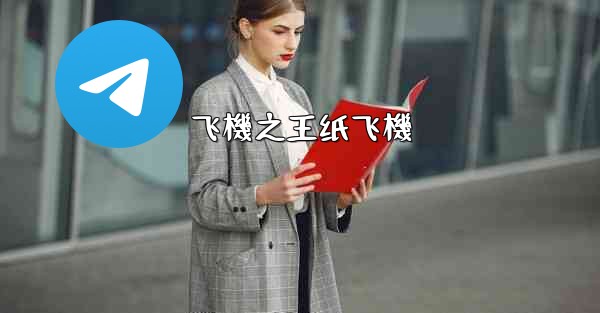 <b>飞機之王纸飞機</b>