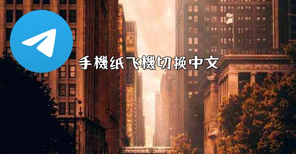 手機纸飞機切换中文