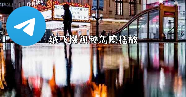 纸飞機视频怎麼播放