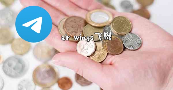 air wings飞機