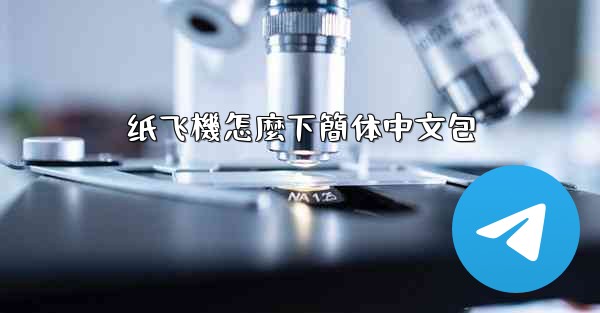 纸飞機怎麼下簡体中文包