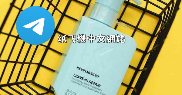 纸飞機中文網站