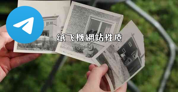 纸飞機網站性质