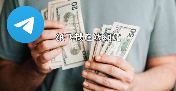 纸飞機在线網站