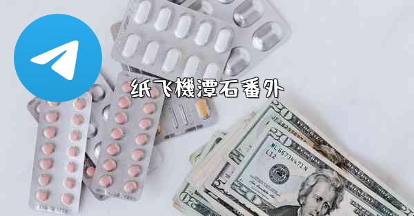 纸飞機潭石番外