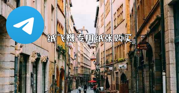 纸飞機专用纸张购买