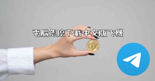 電腦怎麼下載中文版飞機