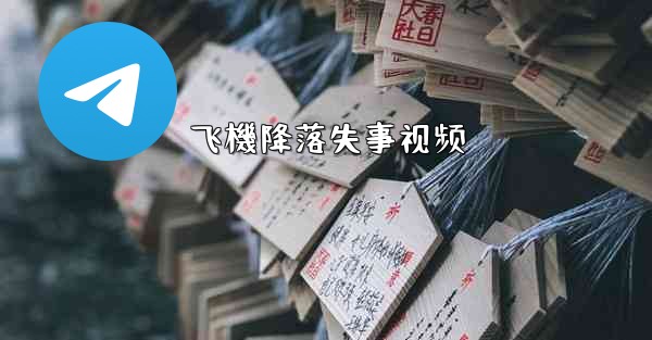 飞機降落失事视频