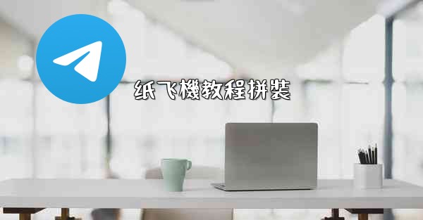 <b>纸飞機教程拼裝</b>