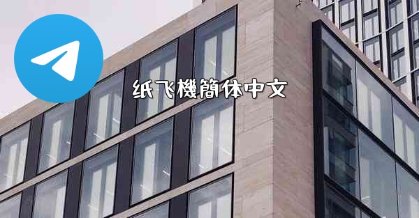 纸飞機簡体中文