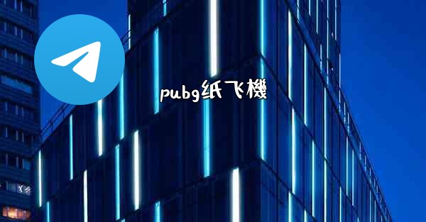 pubg纸飞機