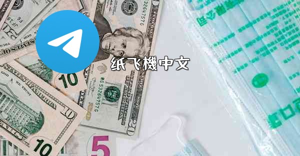 纸飞機中文