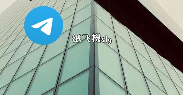 纸飞機slg