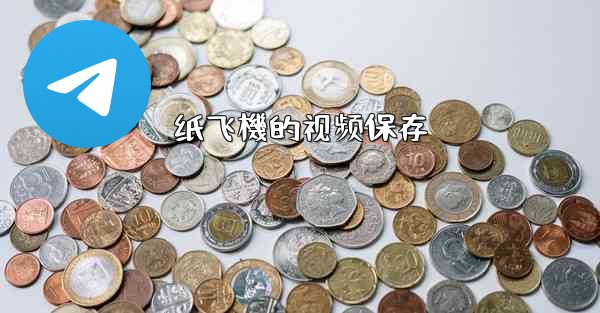 纸飞機的视频保存