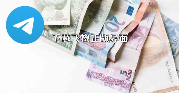 下載飞機正版界面