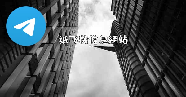 纸飞機信息網站