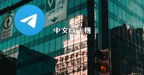 <b>中文版飞機</b>