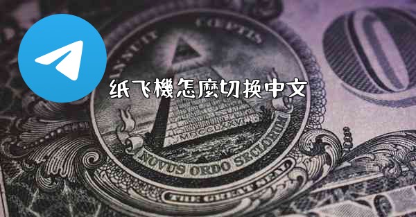 纸飞機怎麼切换中文