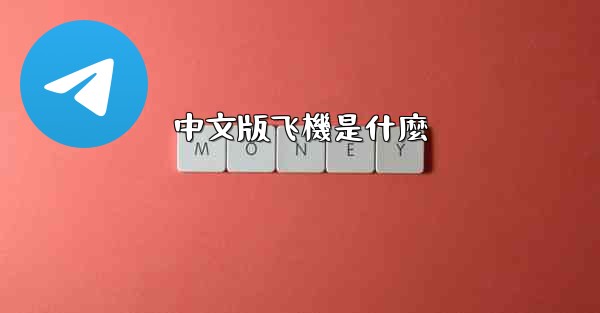 中文版飞機是什麼