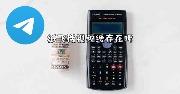 纸飞機视频缓存在哪