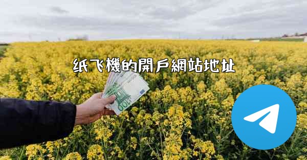 纸飞機的開戶網站地址