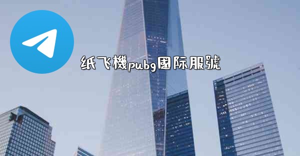 纸飞機pubg國际服號