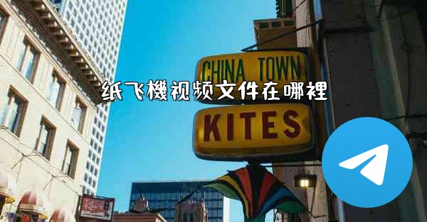 纸飞機视频文件在哪裡