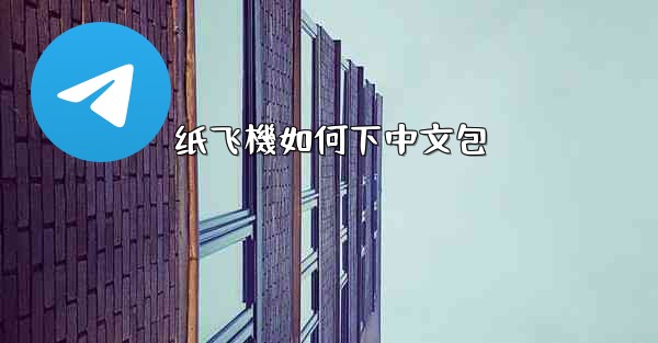 纸飞機如何下中文包