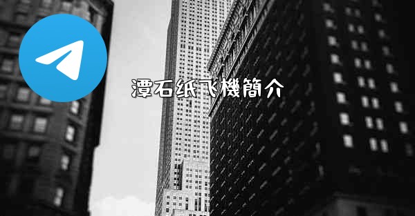 <b>潭石纸飞機簡介</b>
