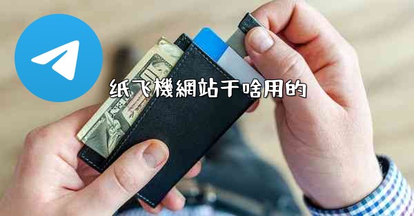 纸飞機網站干啥用的