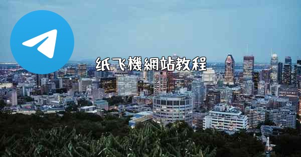 纸飞機網站教程