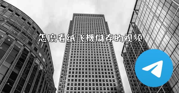 <b>怎麼看纸飞機儲存的视频</b>