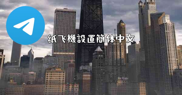 纸飞機設置簡体中文