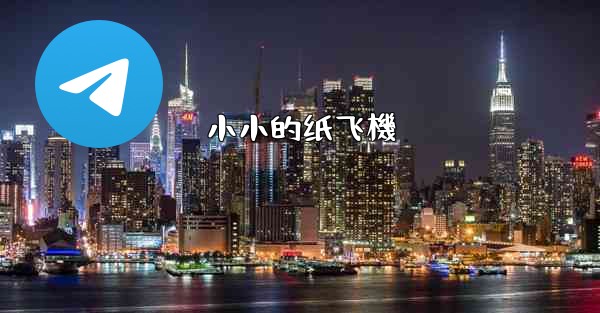 小小的纸飞機
