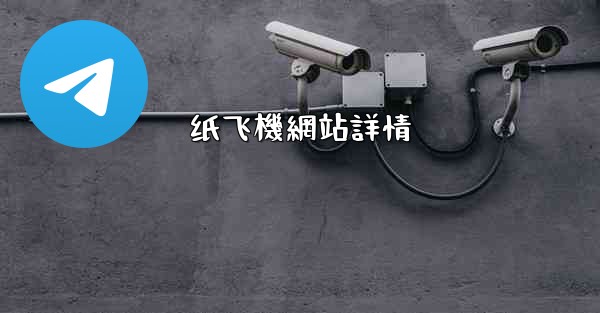 <b>纸飞機網站詳情</b>