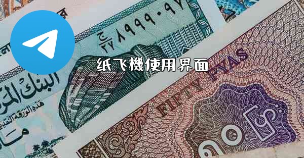 纸飞機使用界面