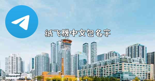 纸飞機中文包名字