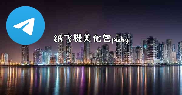 纸飞機美化包pubg
