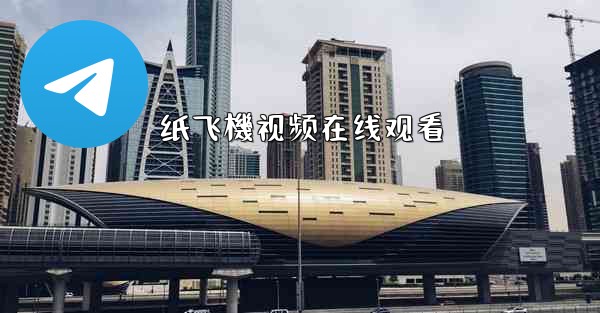 纸飞機视频在线观看