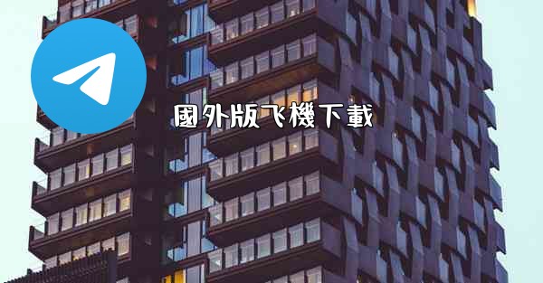 國外版飞機下載