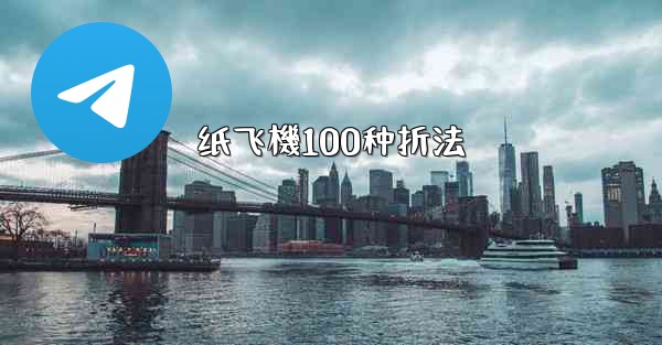 <b>纸飞機100种折法</b>