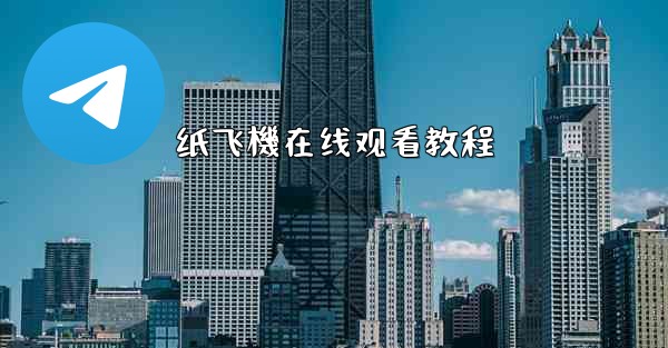 纸飞機在线观看教程