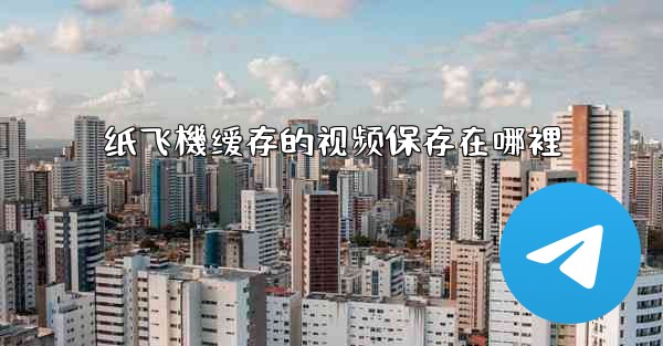 纸飞機缓存的视频保存在哪裡