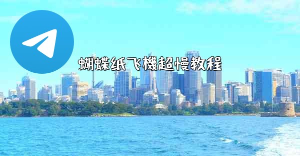 蝴蝶纸飞機超慢教程