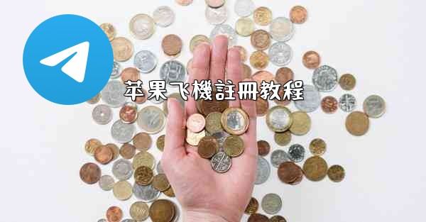 苹果飞機註冊教程